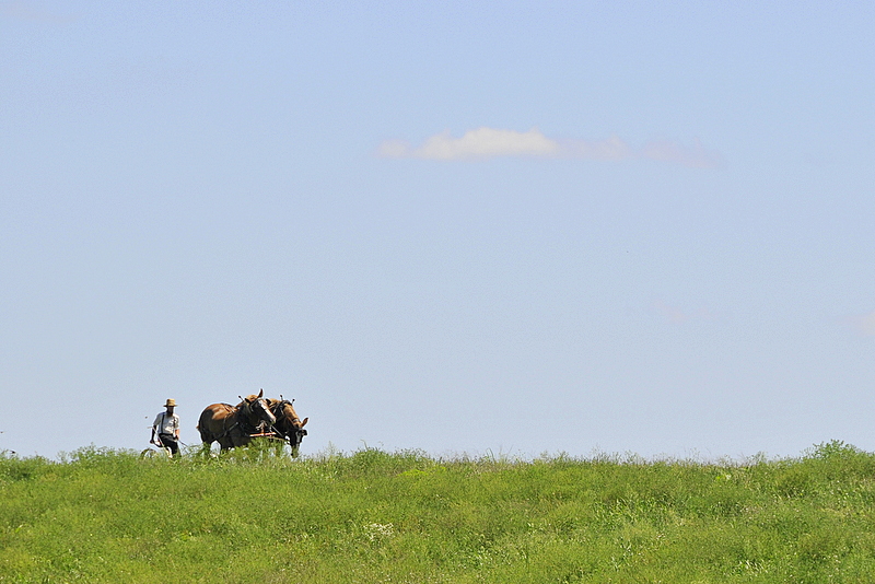 Photo from Berlin Heights, Ohio