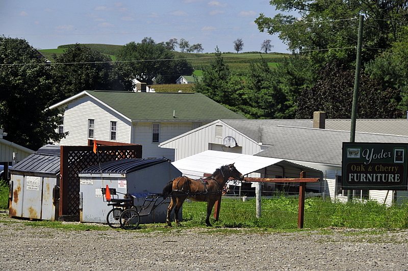 Photo from Berlin Heights, Ohio