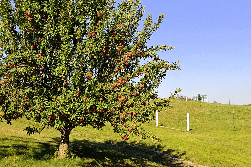 Photo from Berlin Heights, Ohio