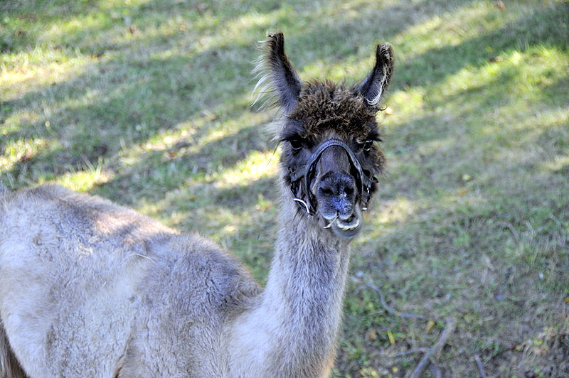 Photo from Berlin Heights, Ohio