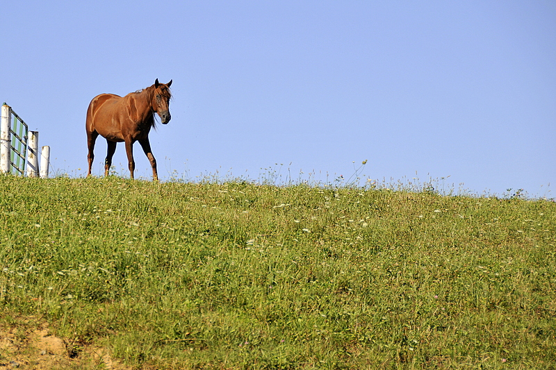 Photo from Berlin Heights, Ohio