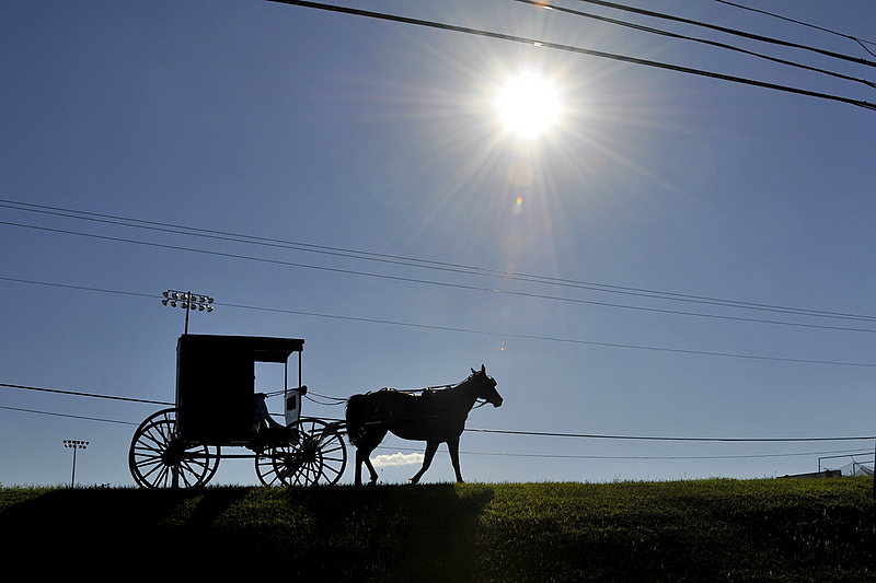 Photo from Berlin Heights, Ohio