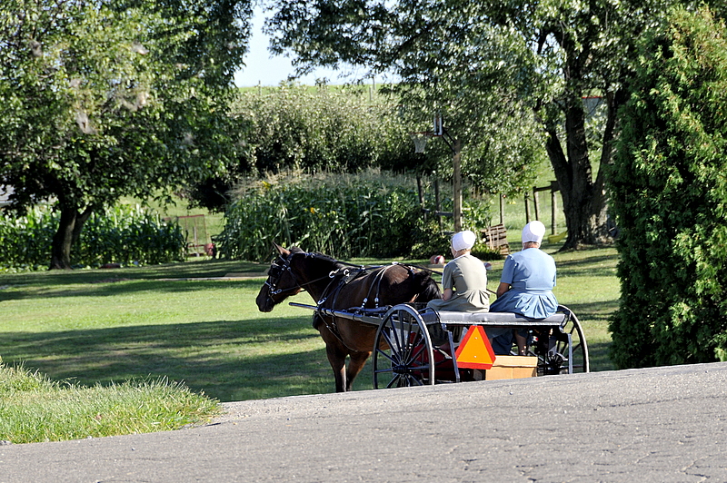 Photo from Berlin Heights, Ohio