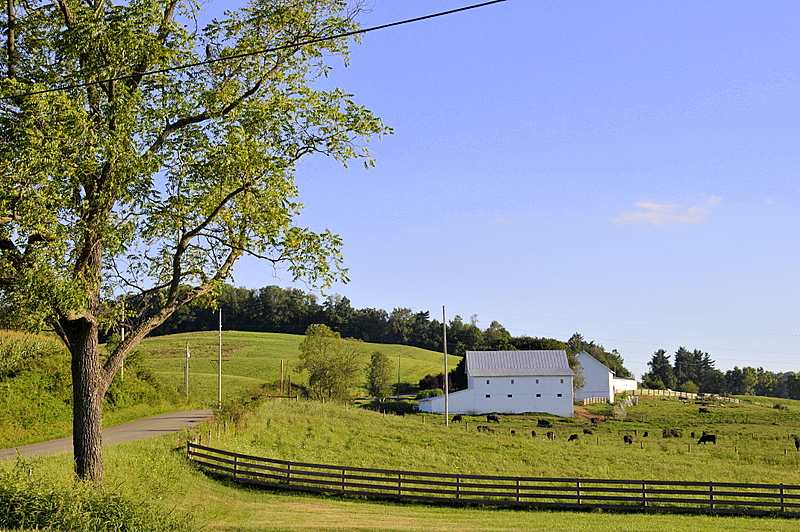 Photo from Berlin Heights, Ohio