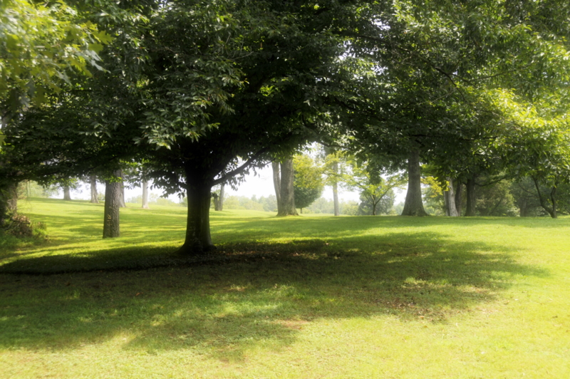 Photo from Hodgenville, Kentucky