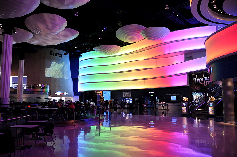 Photo from Atlanta, Georgia