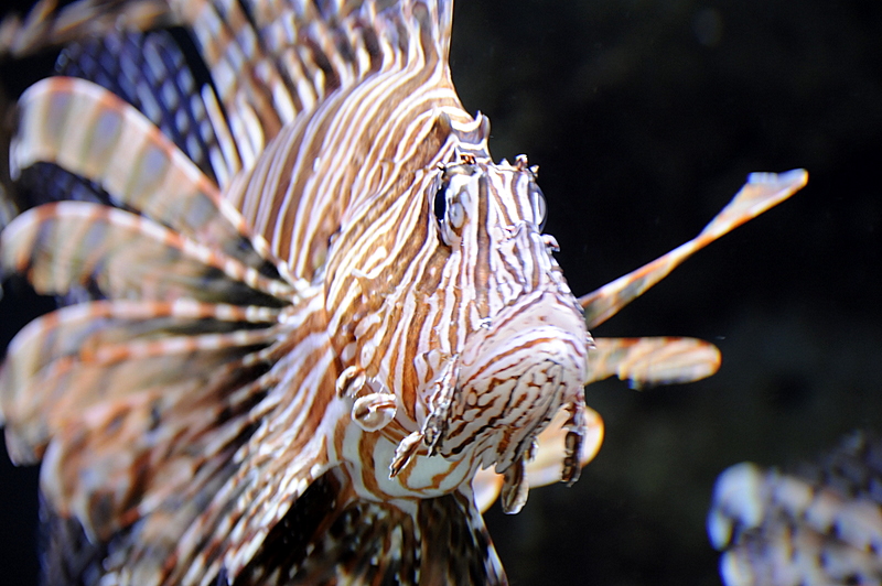 Photo from Atlanta, Georgia