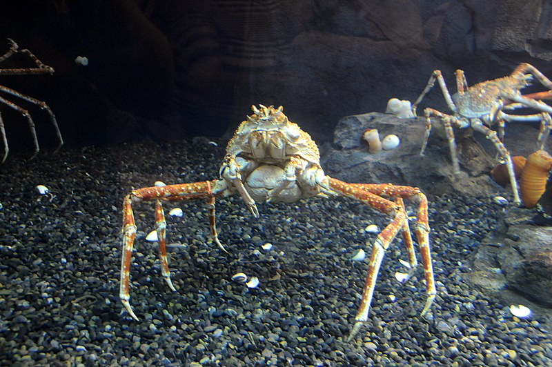 Photo from Atlanta, Georgia