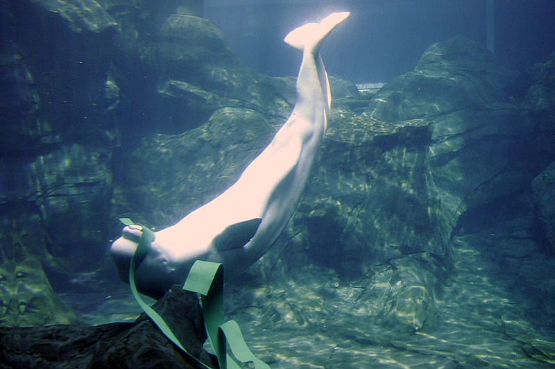 Photo from Atlanta, Georgia