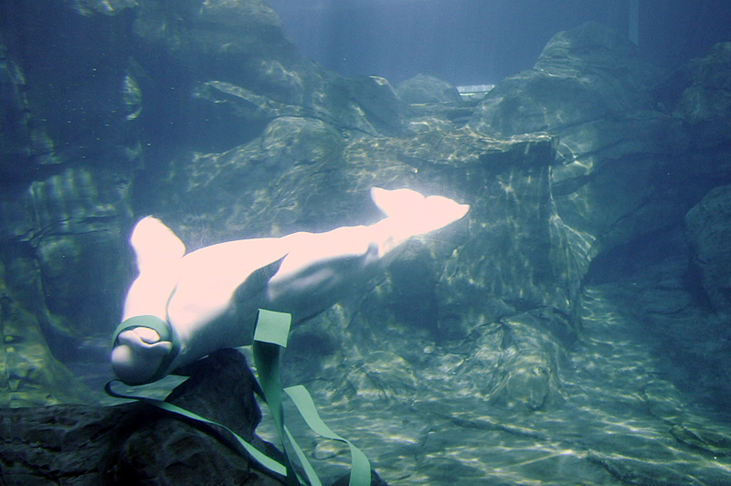 Photo from Atlanta, Georgia