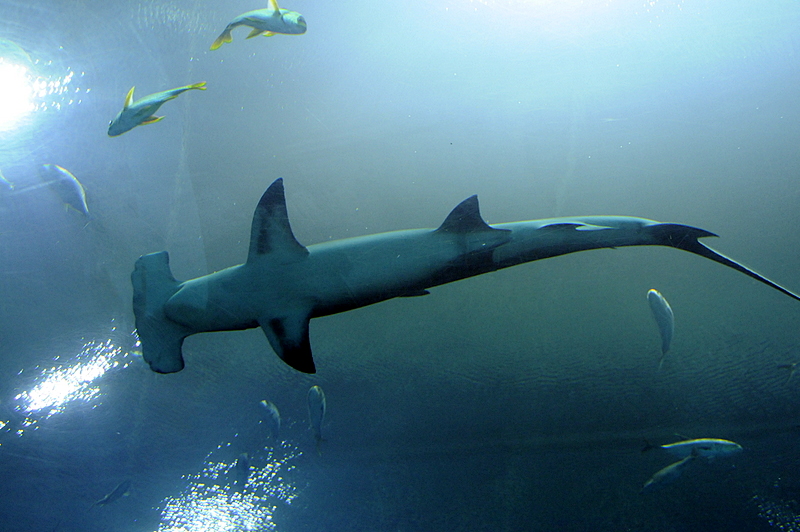 Photo from Atlanta, Georgia