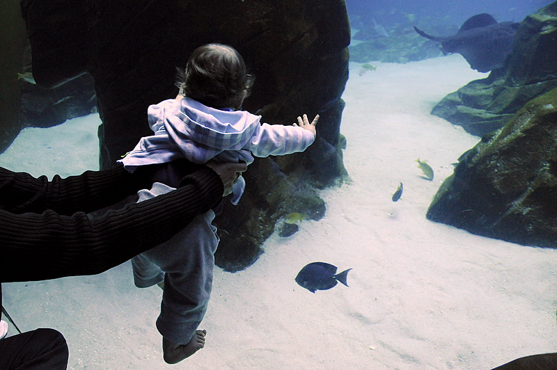 Photo from Atlanta, Georgia