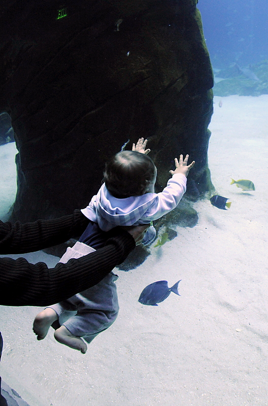 Photo from Atlanta, Georgia