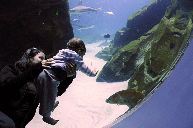 Photo from Atlanta, Georgia