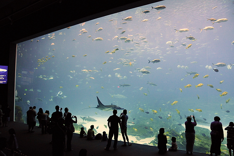 Photo from Atlanta, Georgia