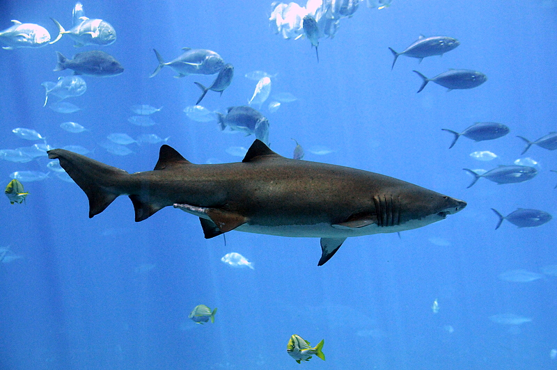 Photo from Atlanta, Georgia