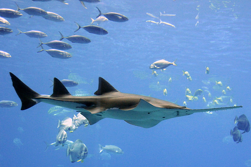 Photo from Atlanta, Georgia