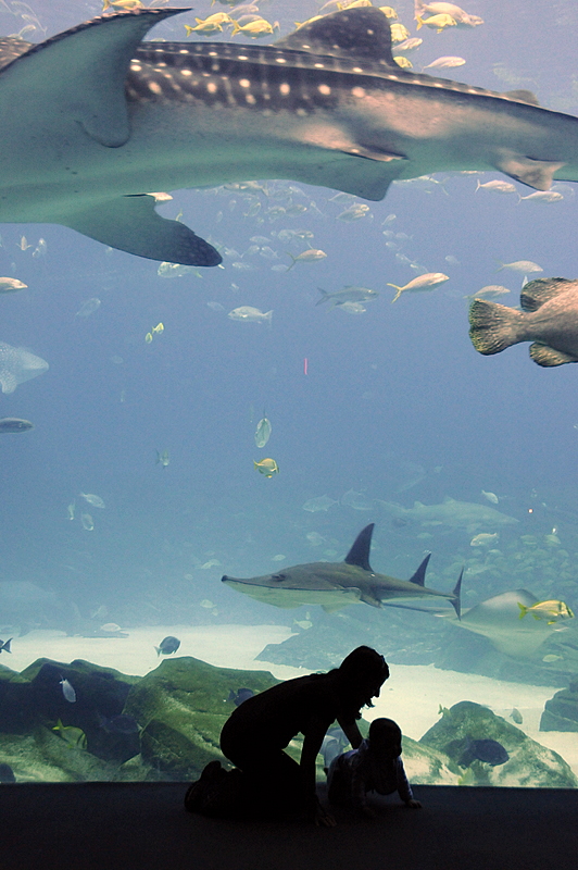 Photo from Atlanta, Georgia