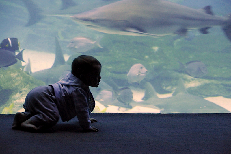 Photo from Atlanta, Georgia