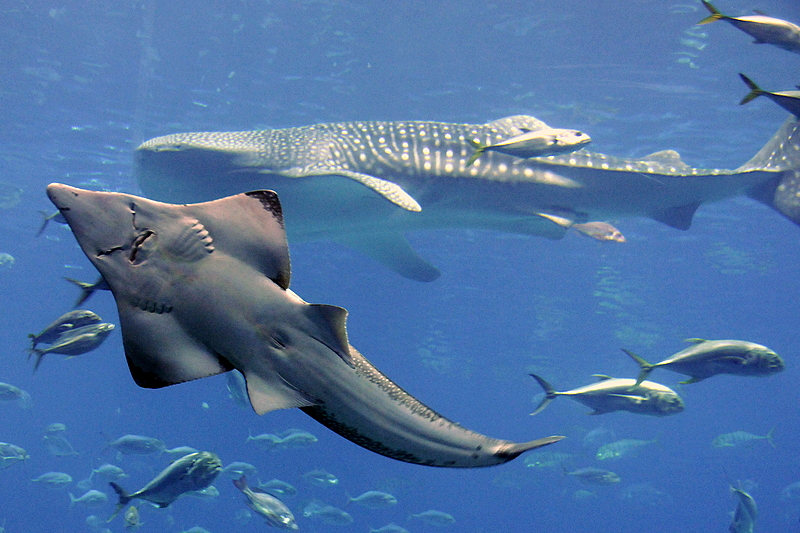 Photo from Atlanta, Georgia