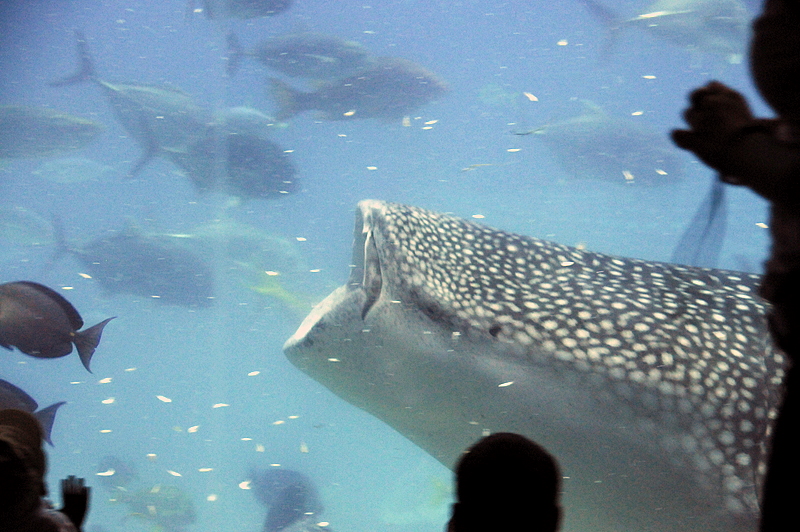 Photo from Atlanta, Georgia