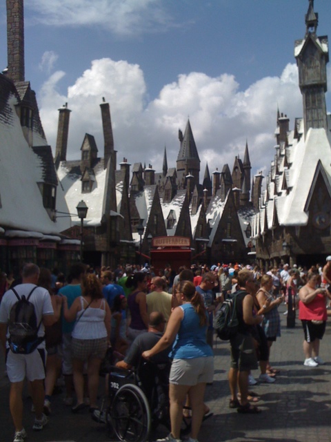 Photo from Orlando, Florida