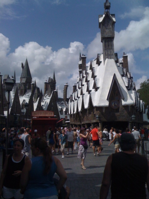 Photo from Orlando, Florida