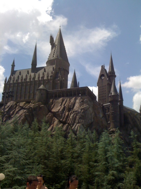 Photo from Orlando, Florida