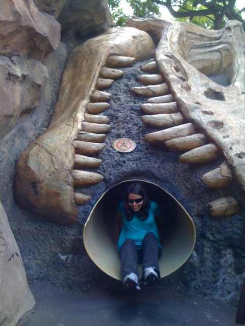 Photo from Orlando, Florida