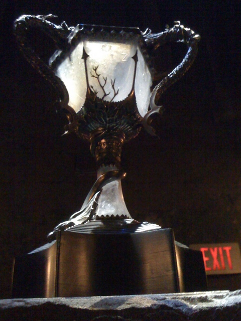 Photo from Orlando, Florida