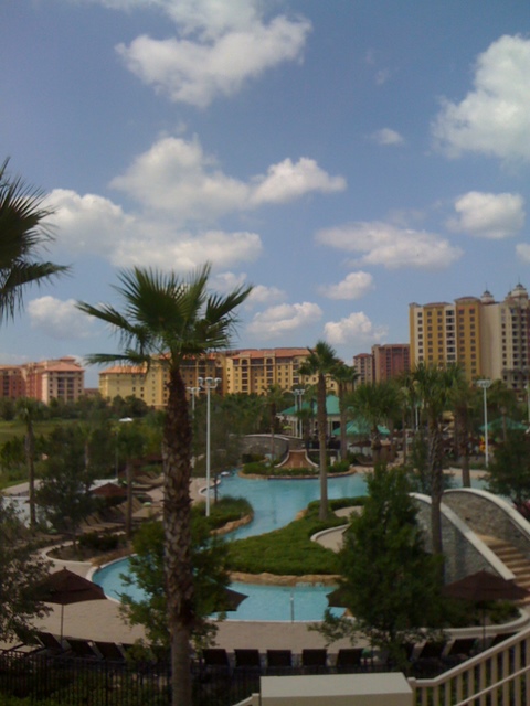 Photo from Orlando, Florida