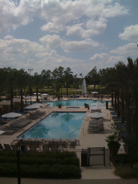 Photo from Orlando, Florida