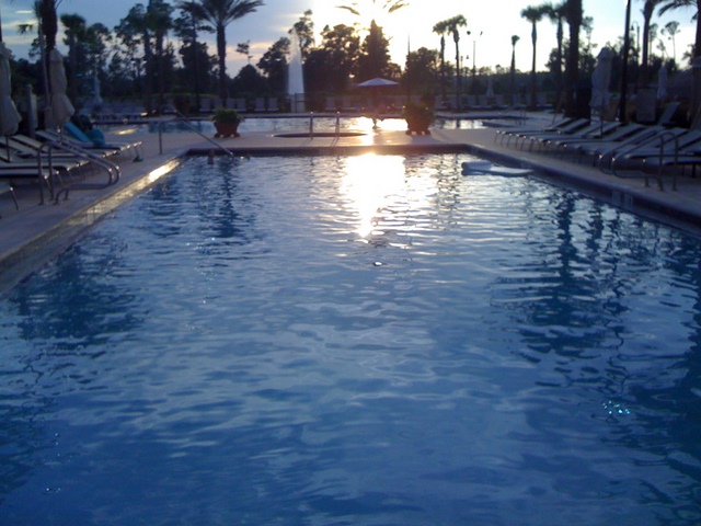 Photo from Orlando, Florida