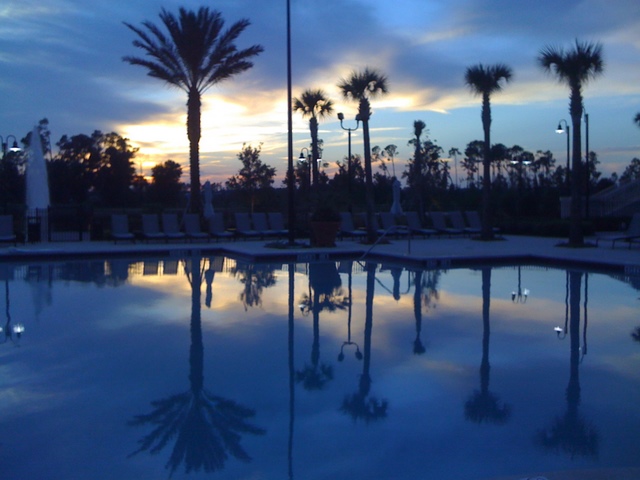 Photo from Orlando, Florida