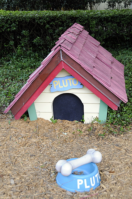 Photo from Orlando, Florida