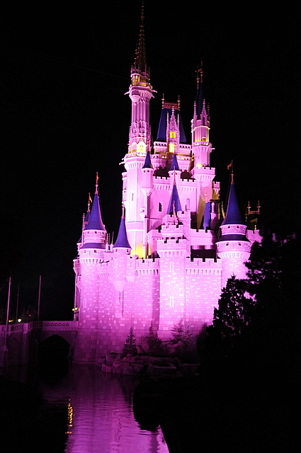 Photo from Orlando, Florida