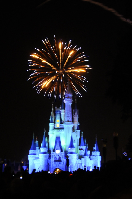 Photo from Orlando, Florida