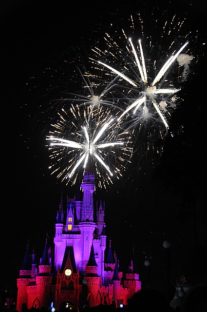 Photo from Orlando, Florida