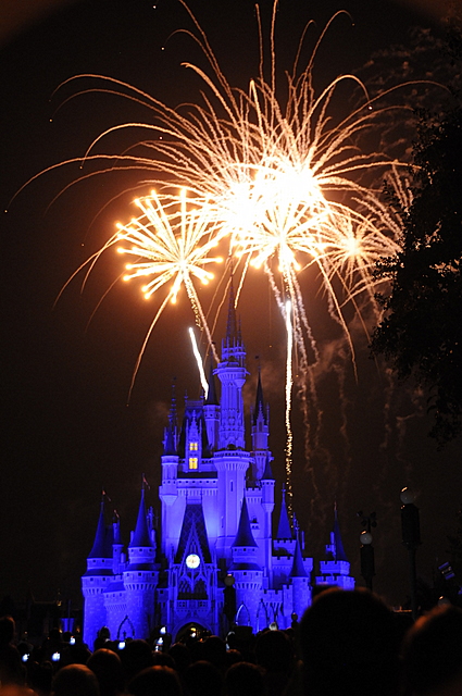 Photo from Orlando, Florida