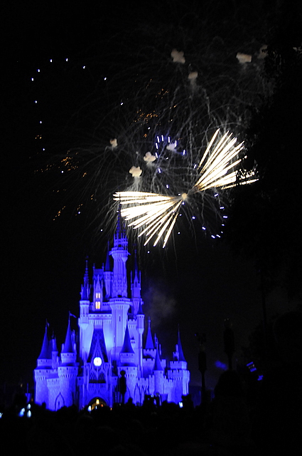 Photo from Orlando, Florida