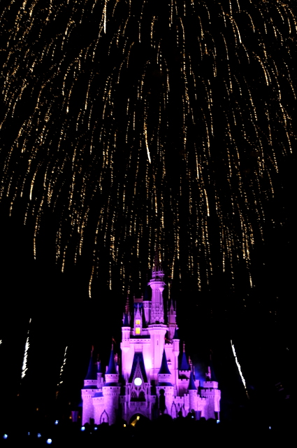 Photo from Orlando, Florida