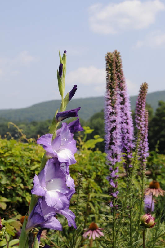 Photo from Shelburne Falls, Massachusetts