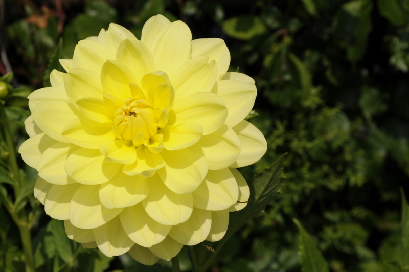 Photo from Shelburne Falls, Massachusetts