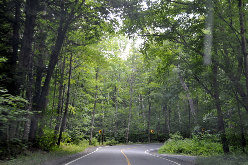 Photo from Mount Greylock, Massachusetts