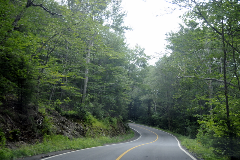 Photo from Mount Greylock, Massachusetts