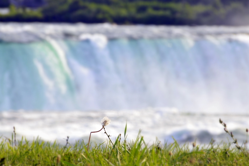 Photo from Niagara Falls, New York