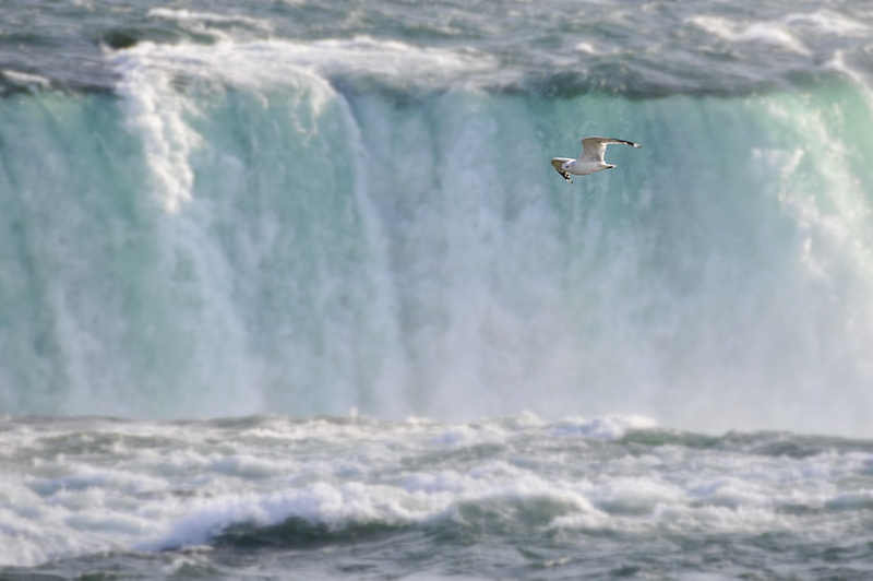 Photo from Niagara Falls, New York